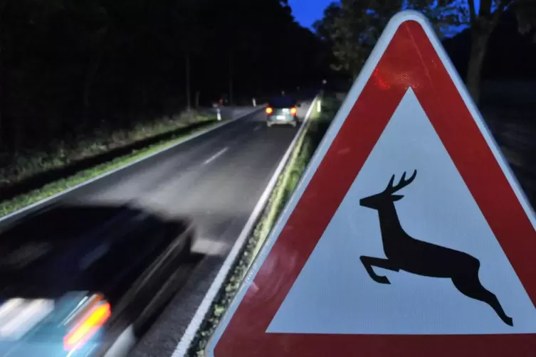 Ein Reh wurde zwischen Waldsee und Altrip von einem Auto erfasst. 