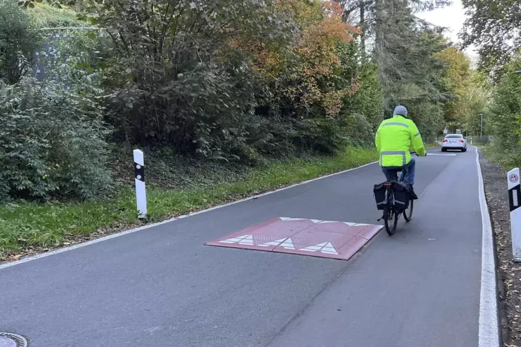 Die Bremsschwellen in der Rütschhofstraße sorgen weiter für Diskussionen.