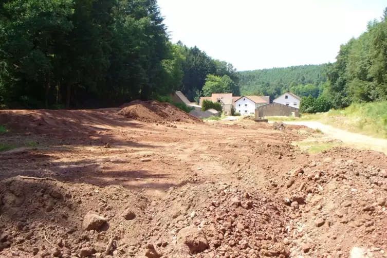 Erdablagerungen: Dieses Bild zeigt eine der am stärksten betroffenen Flächen auf dem Weinbrunnerhof im Jahr 2018.