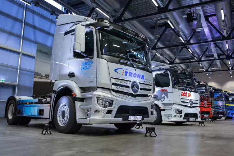 Der erste Lkw von links geht an die Spedition Troha in Hagenbach. Aus der Südpfalz waren auch die Speditionen Nuss (Wörth), Eich