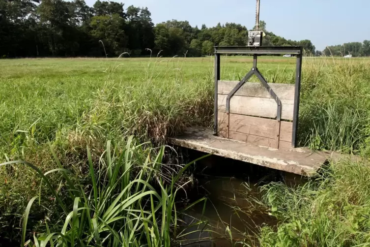 Mit solchen Schließen wird die Wasserzufuhr aus Bächen wie der Queich in die Wiesen gesteuert. 