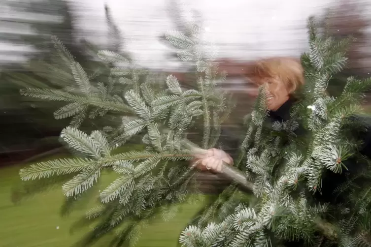 Geschenke und Baum kaufen, ein Menü vorbereiten und auf ein harmonisches Fest hoffen: Weihnachten bereitet vielen Stress. 