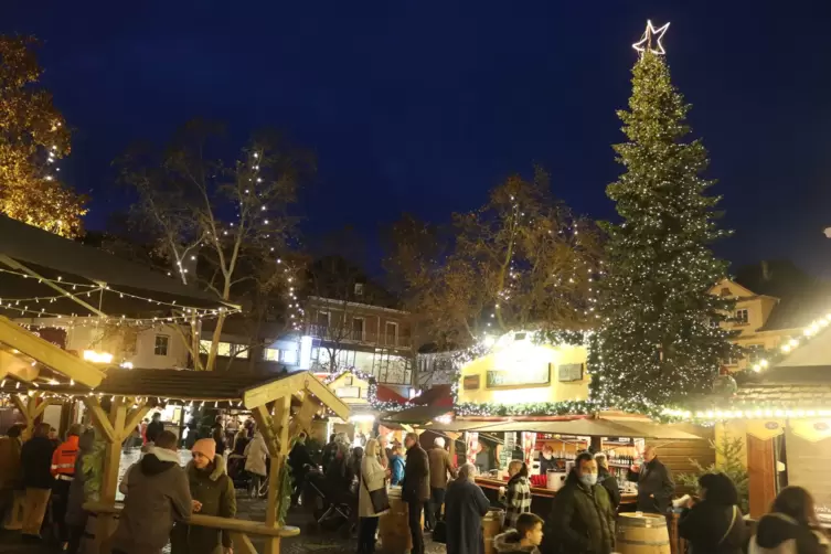 Frankenthaler Weihnachtsmarkt 2023