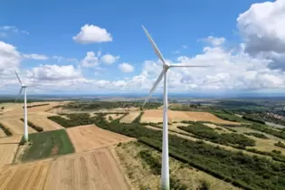 Sollten auf dem Grünstadter Berg noch mehr Windräder stehen? Auf alle Fälle, meint der Klimastammtisch. Naturschützer widersprec