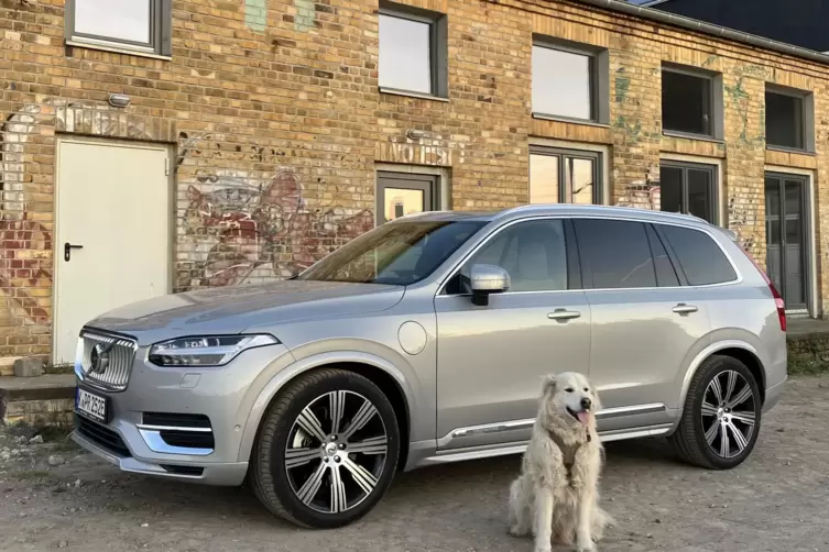 Der XC90 – hier mit einem Hund namens Geronimo. 