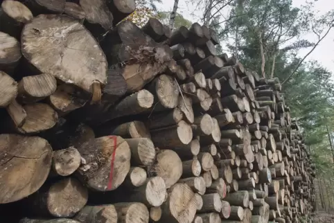 Der Holzverkauf soll 39.409 Euro einbringen.