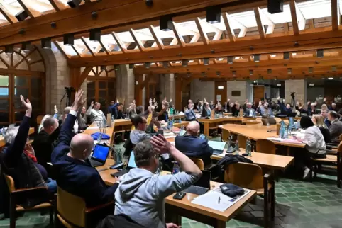 Wollte mehrheitlich, dass die Ortsbeiräte unverändert bleiben: der Stadtrat am Dienstag. 