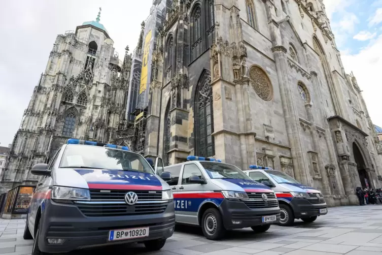 Polizeiwagen stehen nach Hinweisen auf einen möglichen Anschlagsplan einer islamistischen Gruppe vor der Domkirche St. Stephan. 