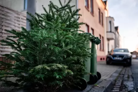 Die Weihnachtsbäume sollen gut sichtbar und vor allem abgeschmückt am Straßenrand abgelegt werden, damit sie die Helferinnen und