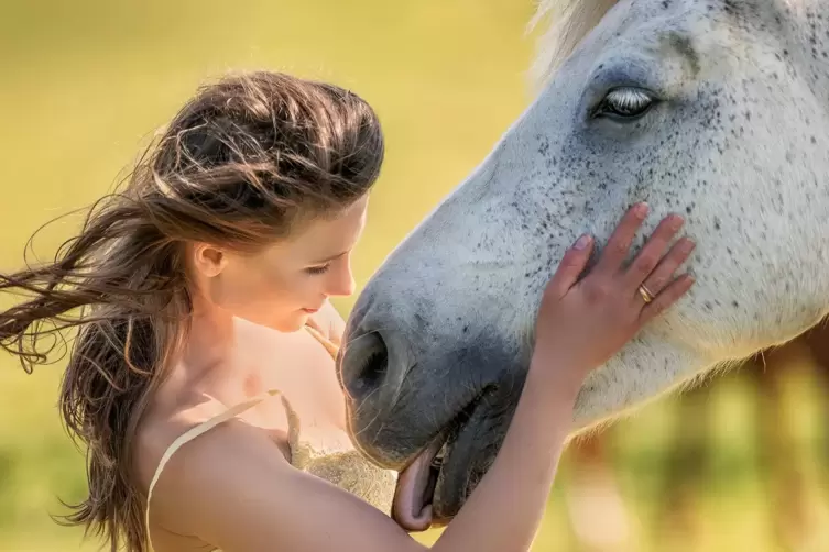 Diese Aufnahme von Harald Kröher mit dem Titel „Love You“ (Ausschnitt) wurde beim Fotowettbewerb „Motiva“ im österreichischen Li