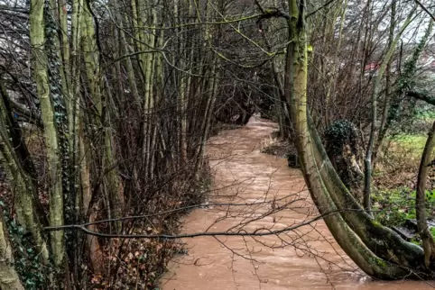 Gut gefüllt ist derzeit der Eisbach. Das Bild wurde in Höhe der Hermann-Graf-Straße aufgenommen.