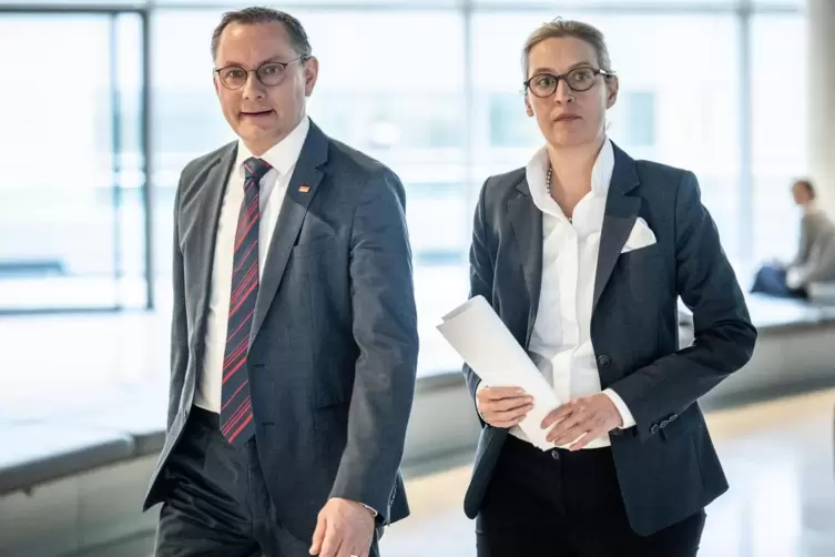 Umfragehoch und Mitgliederzuwachs: Die AfD-Chefs Tino Chrupalla und Alice Weidel führen ihre Partei in neue Höhen. 