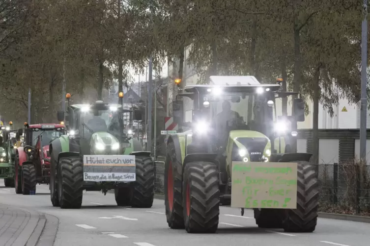 Schon am 29. Dezember hatten Bauern in Kaiserslautern demonstriert.