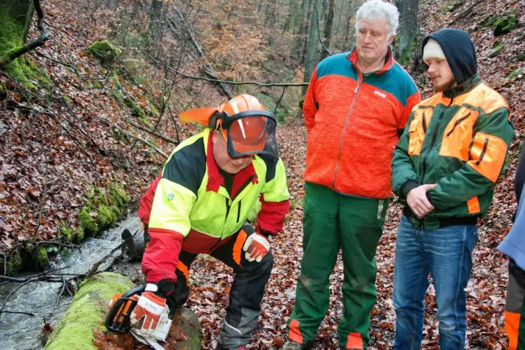 Kursleiter Guido Sprenger aus Bad Bergzabern erklärt den Teilnehmern die Funktionsweise einer Motorsäge. 