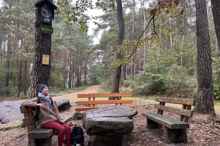 Am Bildbaum treffen viele Wege und Markierungen aufeinander. 