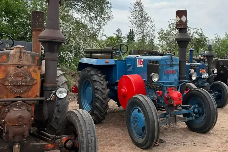 Für Freunde historischer Fahrzeuge gründet sich ein Verein. 