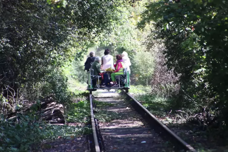 Bisher fahren auf der früheren Schnellzugstrecke von Landau nach Germersheim nur Draisinen. Doch die Chancen für eine Reaktivier