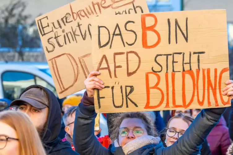 Viele Menschen gehen momentan auf die Straße, um gegen die AfD zu demonstrieren. 