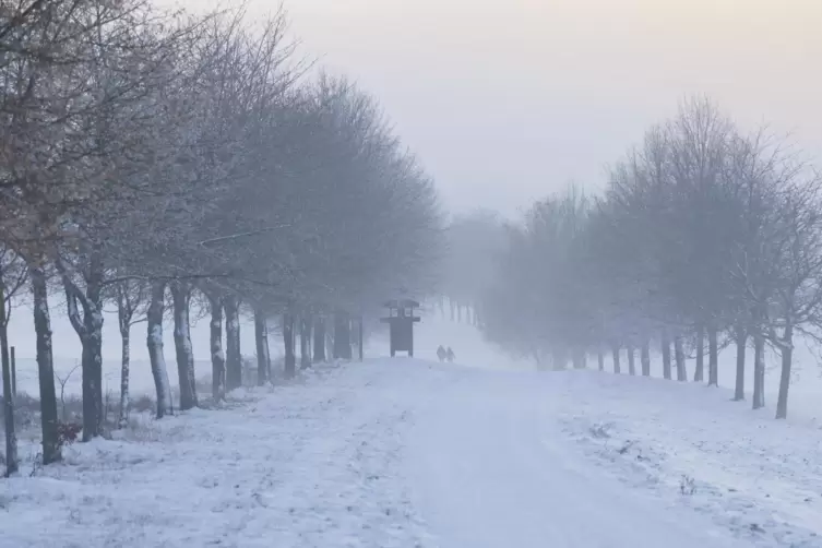 Mit Schnee muss auch im Februar gerechnet werden.