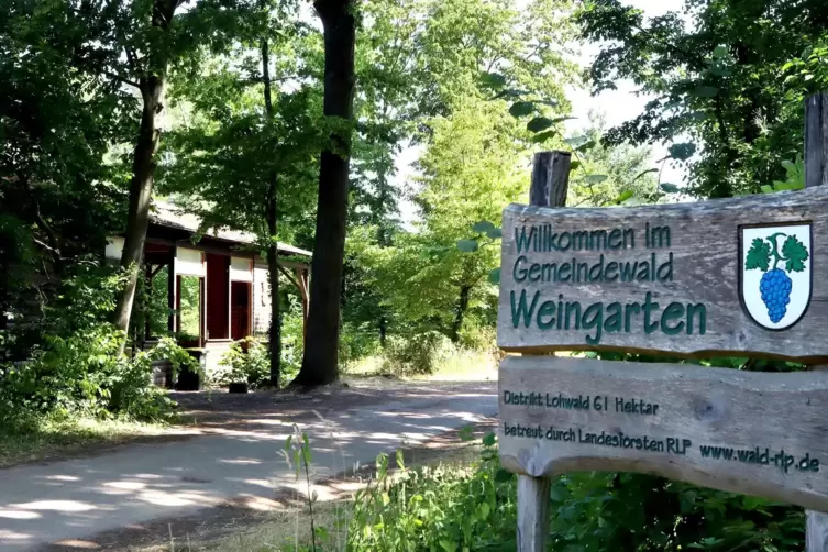 Die Weingartener Grillhütte. Hier kam es in der Nacht des 30. Juni 2023 zur Bluttat.