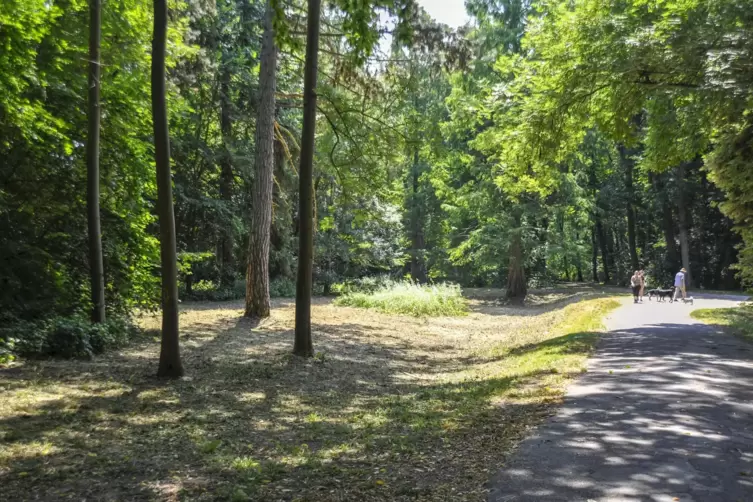 Der Waldpark im Lindenhof ist nicht nur bei den Anwohnern beliebt.