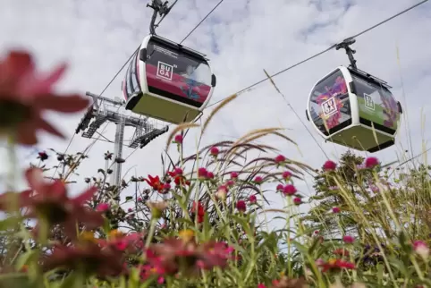 Seilbahn-Gondeln bei der Buga in Mannheim.