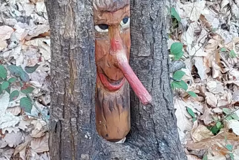 Eine von vielen zauberhaften Begegnungen bei Oberotterbach: Naseweiser Waldgeist am Wegrand. 