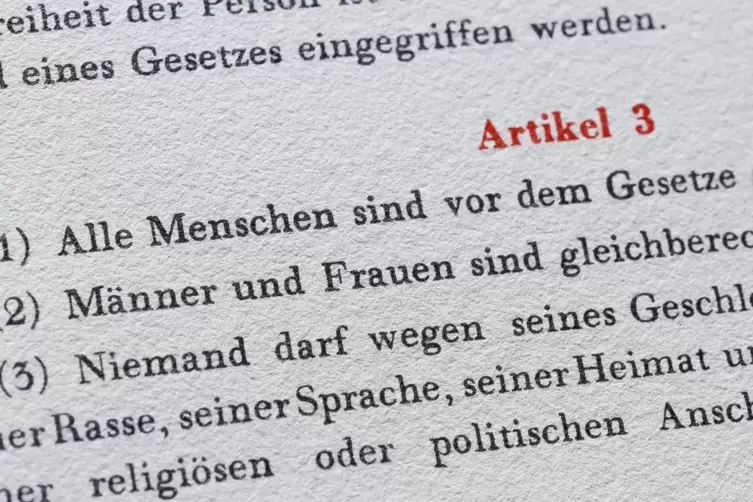 Der umstrittene Begriff „Rasse“ steht in Artikel 3.