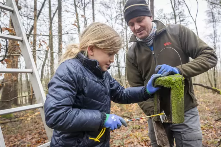 Teamarbeit: Die neunjährige Mathilda packt gemeinsam mit Papa Johannes Bläs bei der Innenreinigung mit an. 