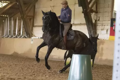 Stefan Schneider führt auf Farol die Besonderheiten bei der Working-Equitation-Praxiseinheit vor.