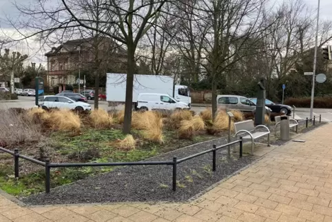 Stadt setzt auf Parkkrallen gegen Falschparker - Ludwigshafen - DIE  RHEINPFALZ