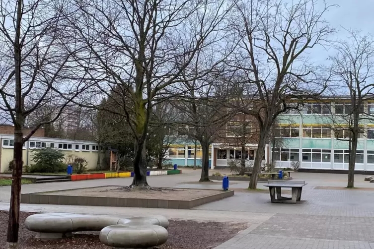 Berufsalltag in der Oggersheimer Adolf-Diesterweg-Realschule: Manche Kinder scheitern sogar daran, Zahlen in die Kästchen eines 