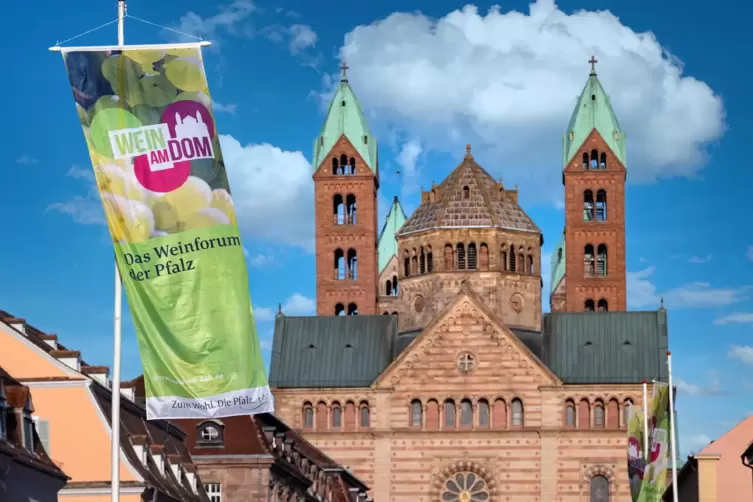 Zurück in Speyer: Messe „Wein am Dom“. 