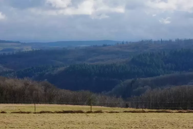 Wälder bedecken einen großen Teil des Donnersbergkreises. Doch selbst bei diesem idyllischen Ausblick vom Felsbergerhof Richtung