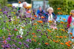 Blumen, Sträucher und co. sollen Besucher anlocken.