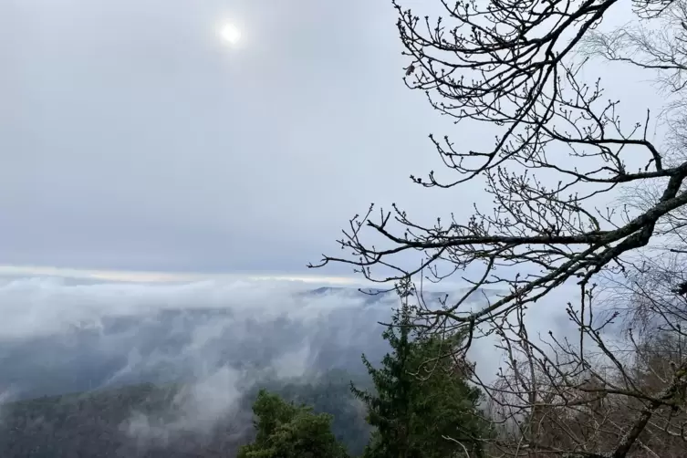 Der Pfälzerwald – ein Nebelmeer: Ausblick vom Rahnfels.