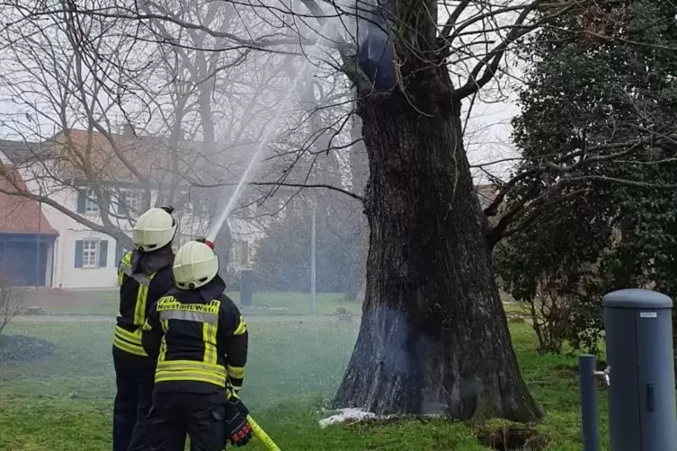 Die Feuerwehr war gut eine Stunde lang im Einsatz.