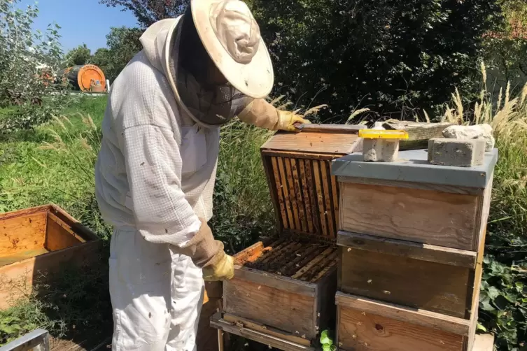 Axel Sawitzki am Bienenstock. 