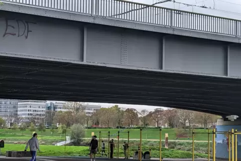 Die Kurpfalzbrücke verbindet die Neckarstadt mit der City.