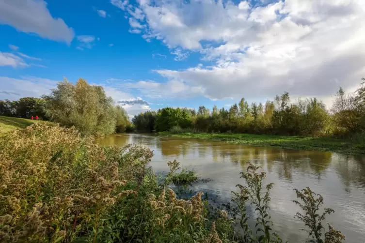 Die renaturierte Seseke bei Bergkamen, ein Nebenfluss der Lippe, wurde zum naturnahem Gewaesser umgestaltet. 