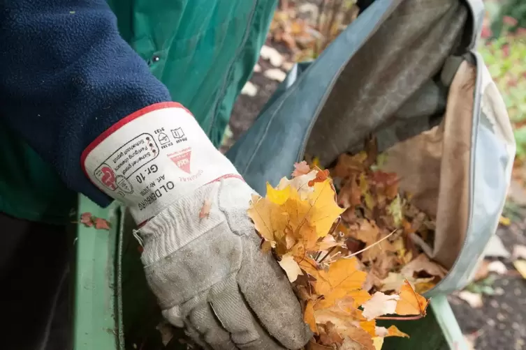 Die Tonnen sind für Gartenabfälle vorgesehen. 