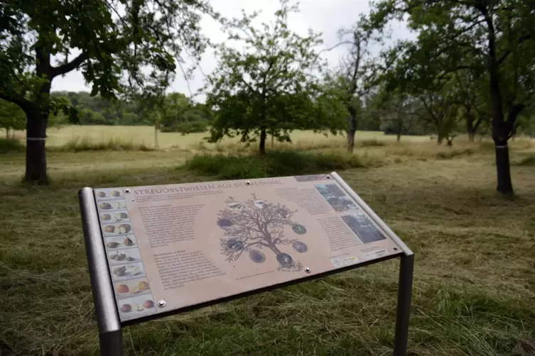 Die Reißinsel ist ein Rückzugsort für Vögel.