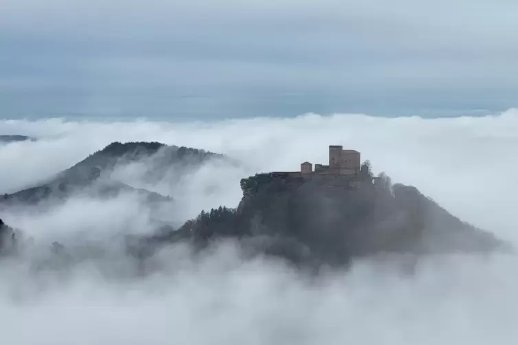 Viele Leserinnen und Leser des Pfälzerwald-Newsletters haben wunderschöne Fotos aus dem Wald eingeschickt – wie zum Beispiel die