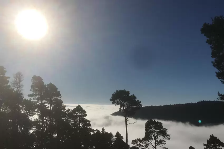 Pfälzer Nebelmeer, Nähe Hochberg, Nordseite Edenkobener Tal.