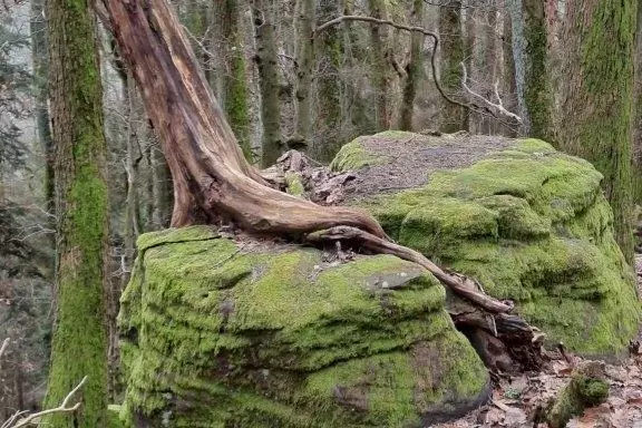 Am Felsenmeer bei der Kalmit