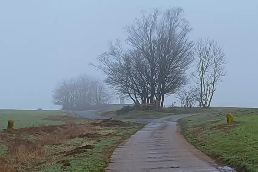 Am Grenzweg bei Schweix