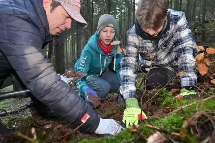 Frank, Klara und Paul Stradinger (von links) engagierten sich bei der Pflanzaktion im Februar.