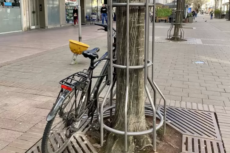 Mit solchen Ringgittern werden Bäume in der Innenstadt stabilisiert. 