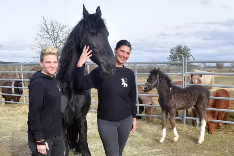  Michaela König (links) und Manuela Scherrer mit der aus schlimmen Verhältnissen geretteten Friesen-Stute und ihrem sieben Woche