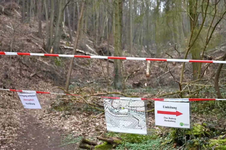 Betreten verboten: Für Wanderer hatte das Forstamt in der Zeit der Sperrung auch eine Umleitungsstrecke ausgeschildert. 